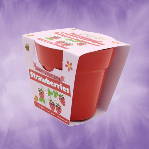 Growing Kit with Pot - Strawberries