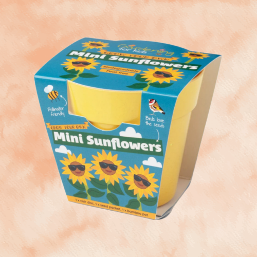 Growing Kit with Pot - Mini Sunflower