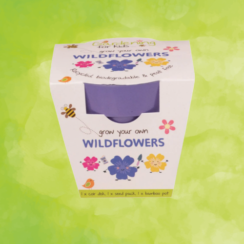 Growing Kit with Pot - Wildflower