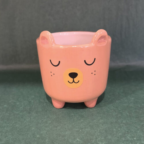Ceramic Plant Pot - Cute Bear
