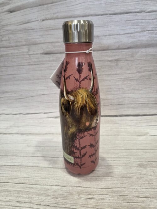 jxkykxtjdh Water Bottle - Highland Cow